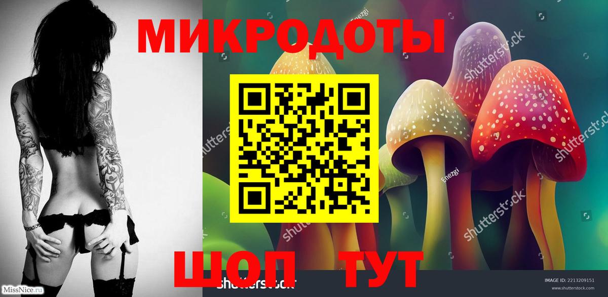 купить наркотики цена  Псилоцибиновые грибы Magic Shrooms  Вход с VPN  Выборг 