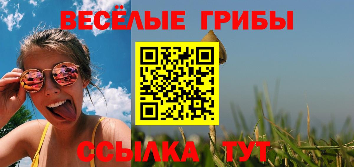 Галлюциногенные грибы прущие грибы Выборг