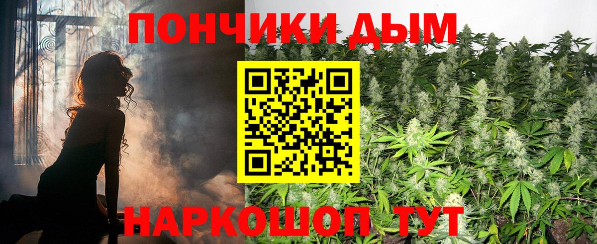 Бошки марихуана гибрид  Вход с VPN  Марихуана Bruce Banner  Бошки Шишки конопля  Выборг  Марихуана MAZAR 